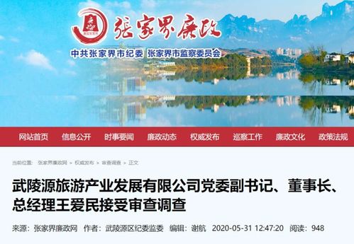 前董事長墜亡僅一月，A股公司董事突遭調查，公司回應旅游業務持續正常